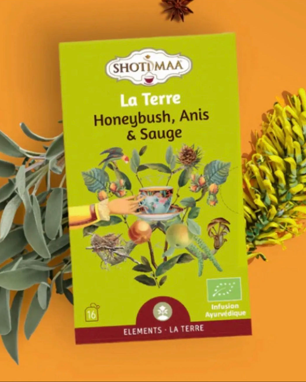 TOUCH THE GROUND – Ekologiskt Örtte med Honeybush, Salvia & Lavendel | Shotimaa