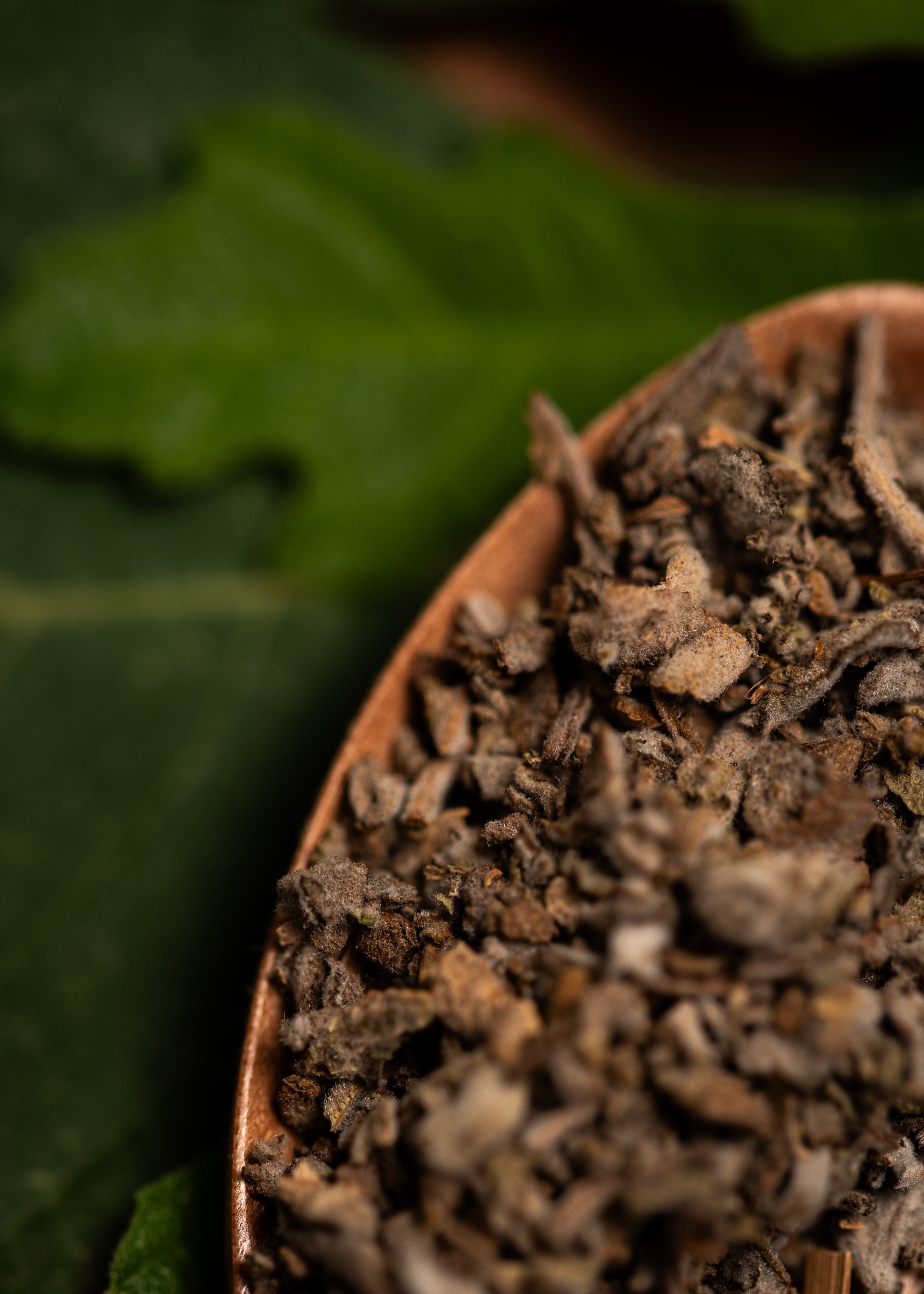 Naturlig Vit Salvia-rökelse