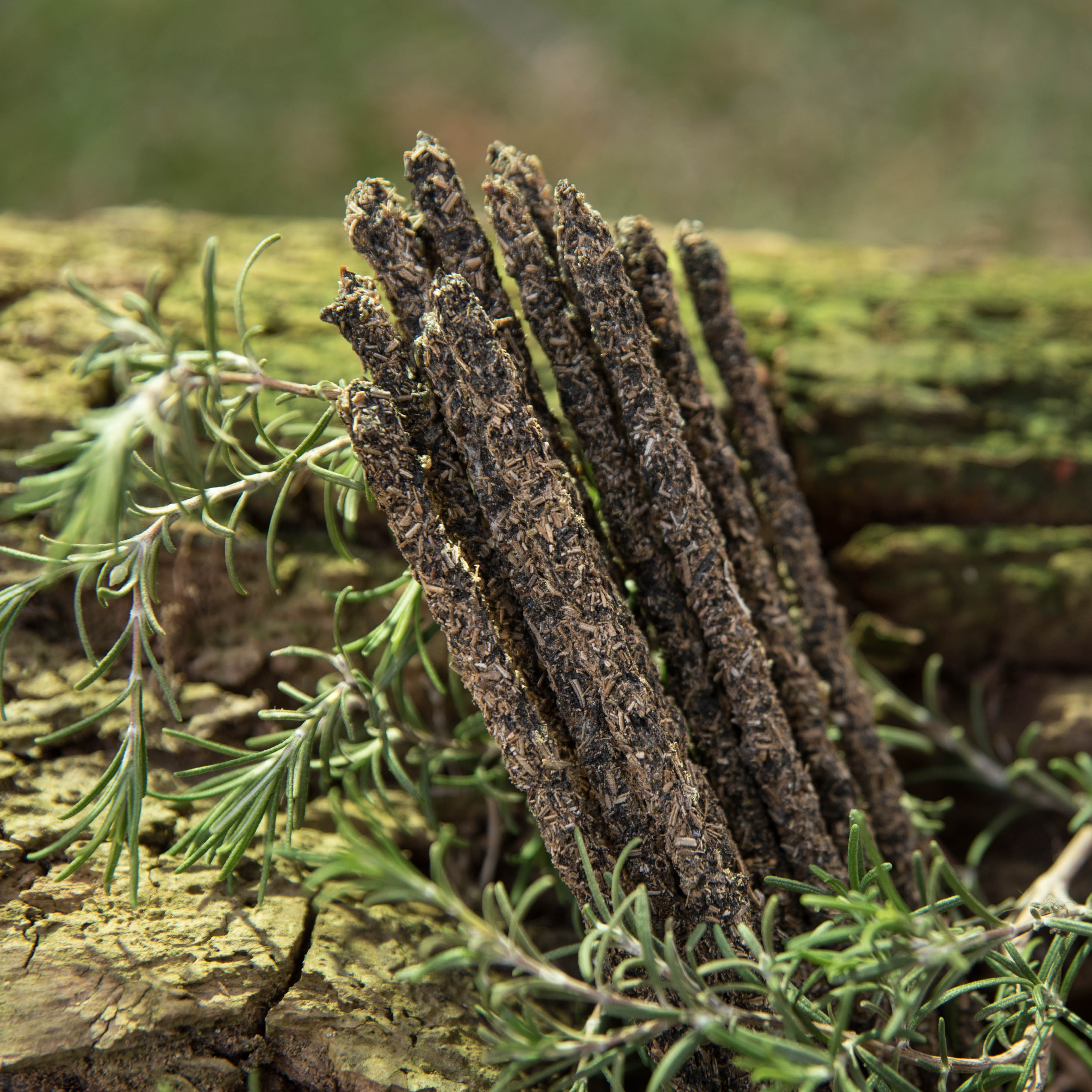 Rosmarin, Vinruta & Frankincense rökelse