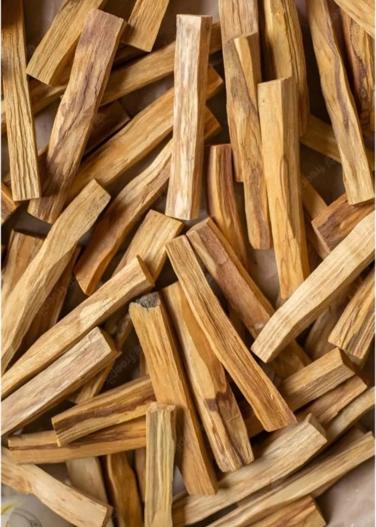 1ST GRADE - Bursera Graveolens / Holy Wood / Palo Santo