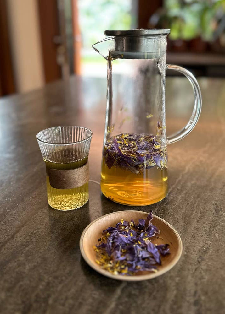Torkad blå lotusblomma