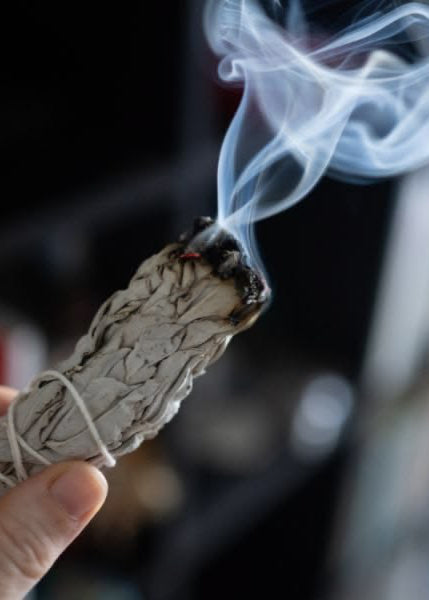 Salvia White Sage Smudge Stick 10cm – Cleanse & Purify