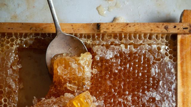 Honungens Värld – En Guide till Våra Fem Honungstyper från Claire's Honey