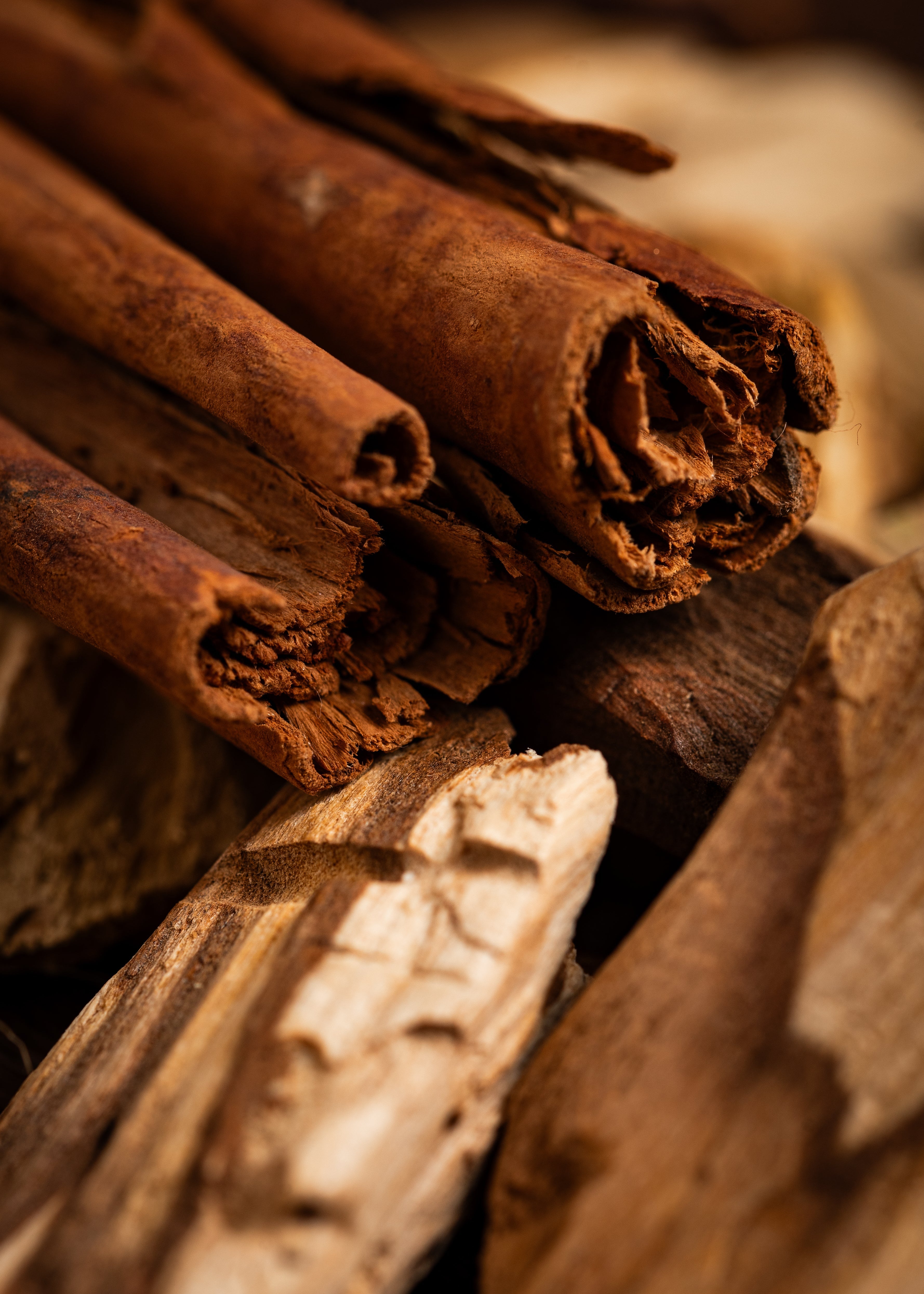 Palo Santo & Kanel rökelse tänd – varm kryddig doft för positiv energi och välmående