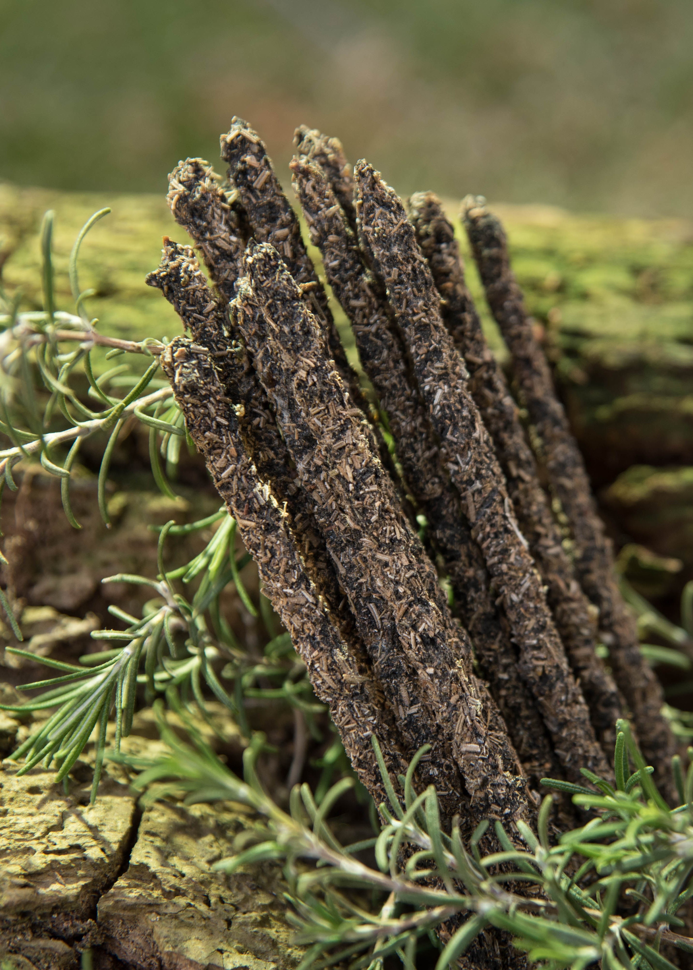 Rosmarin, Vinruta & Frankincense rökelse