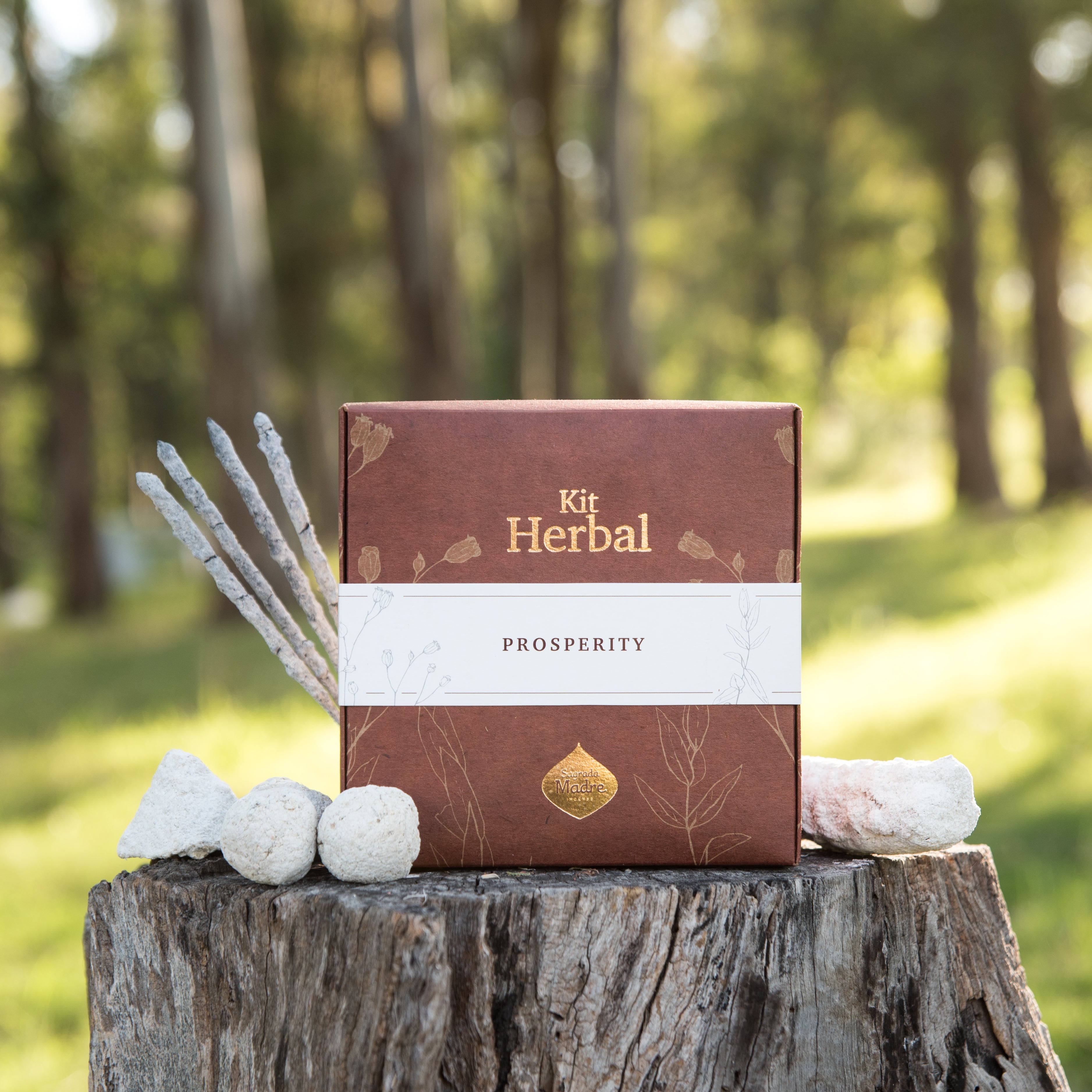 Herbal Prosperity Kit Sagrada Madre