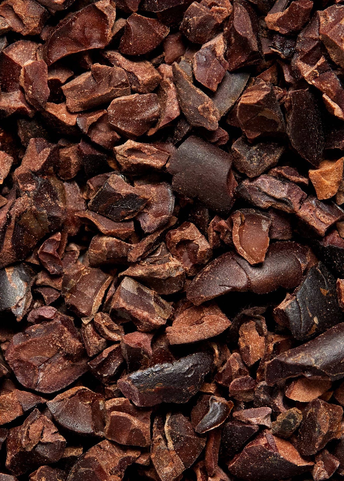 cacao nibs